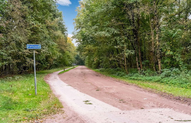 Holiday Home in Stegeren With Pool - Foto 36