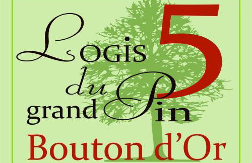 LOGIS DU GRAND PIN - Photo 34