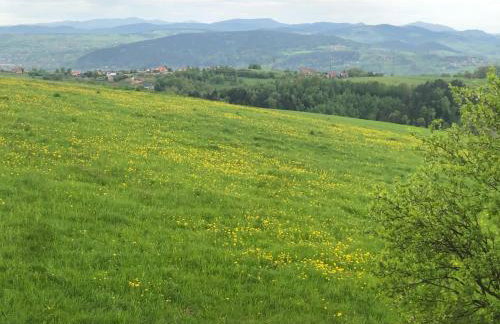 Apartamenty Emerald Hills - Foto 77