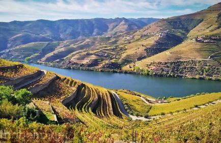 Casa Ponte de São Gonçalo - Foto 12