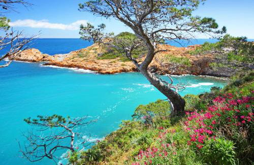 Villa Ses Falugues by Interhome - Foto 39