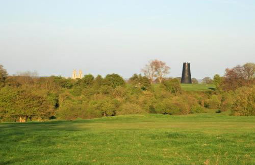 Oak Tree Cottage - Photo 11