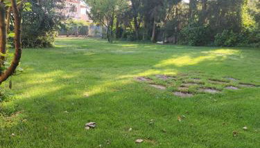 Metohi Georgila - Foto 5, Garden