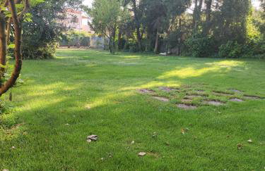 Metohi Georgila - Foto 5