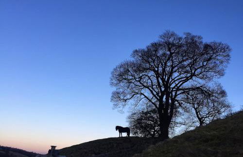 Bijou Cottage in Brontë Country with Wood-burning Stove & Hot Tub Spa - Foto 36