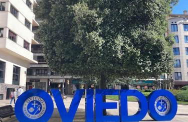 Gascona 26 - Pleno centro, Muy tranquilo, Parking gratis en mismo edificio, Ascensor, Wifi - Foto 45