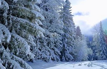 Happy Moose - Cosy Mont Blanc View apartment with sauna - Photo 51