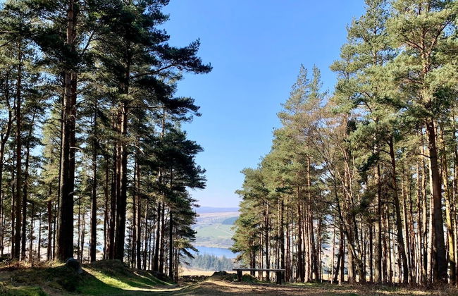 Swinton Bivouac - Photo 47