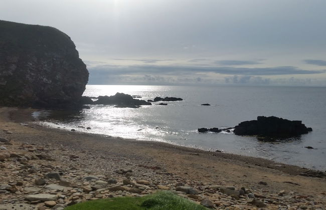 Bespoke Hand Built Shepherds Hut in Dunbeath - Foto 29