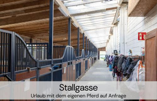 TinyHousebeiDresden mit Faßsauna spektakuläres winziges Häuschen auf Stelzen im Pferdeteich, Kaminofen, umlaufende Terrasse - Nähe Sächsische Schweiz - Von Juni - September Mindestmietzeit 1 Woche Sa-Sa - Foto 32