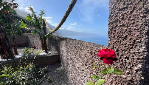 Casa Do Pico - Foto 2, Garden view