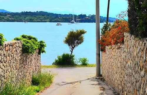 Joan Serenity Apartment - Foto 23