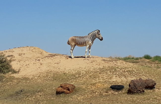 L'Ermitage Quagga Lodge - Photo 20