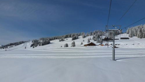 Les Fledd's - Photo 2