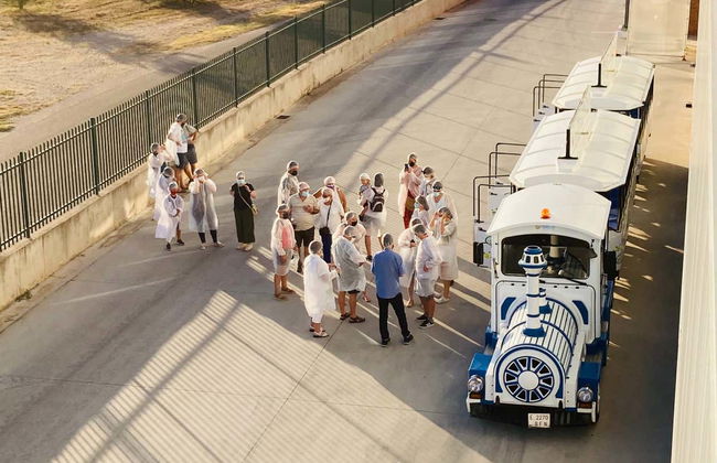 Tour in Burgo de Osma-Ciudad de Osma - Foto 4