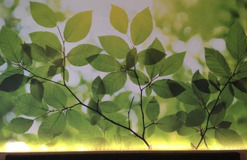 INhouse - Wohnen auf Zeit - Photo 107