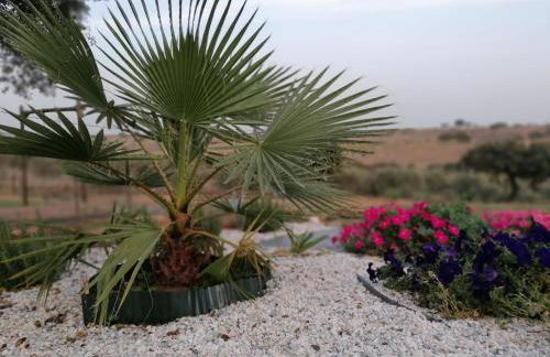 Monte Beatriz - Foto 10