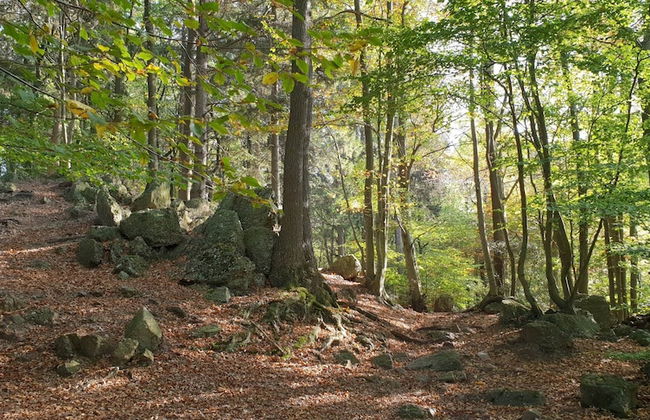 Limbourg Getaway With Charm - Foto 39