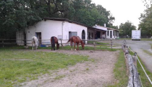 ferme équestre des abrons - Foto 2