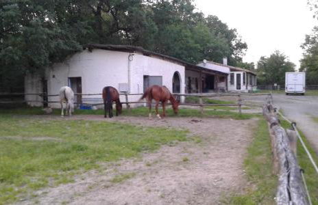 ferme équestre des abrons - Foto 2