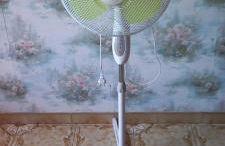 CHAMBRE salle de bains privée Jardin Arboré - Photo 9