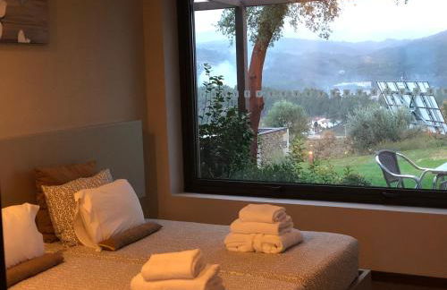 Bosque da Harmonia - Foto 30