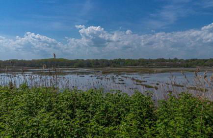 Latitude Adjustment Walk to Beach & Dining! - Foto 102