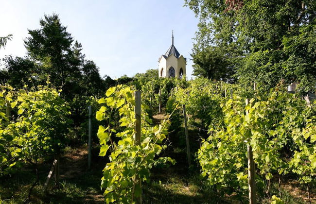 Holiday Apartment Remise - Ground Floor - Foto 8