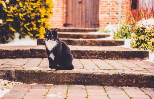 Dom dla dwojga w Starym Młynie w Brzeźnicy - Foto 45
