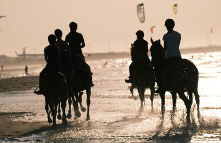 La Maison des Dunes - Foto 25