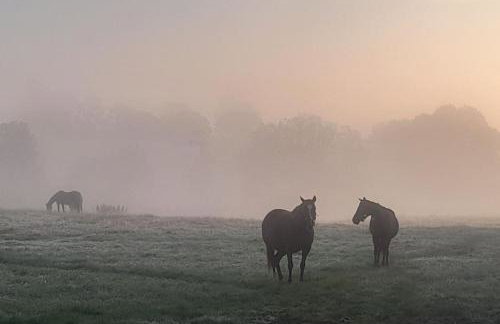 The Old Cattle Barn - Photo 5