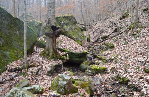 Restful River Cabin, Red River Gorge, KY, River Access & Views - Foto 28