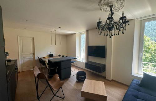 Villa Belle Fleur - Queyras - Appartements confortables avec vue montagne Alpes Française - - Photo 35