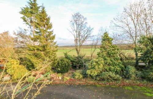 Carvin-Tor - Foto 25