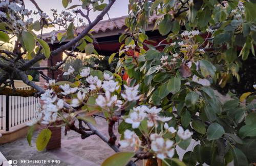 LOS ABUELOS - Foto 70