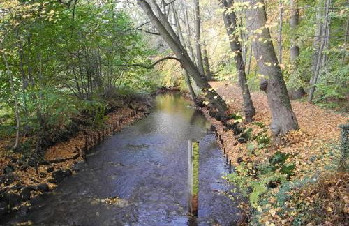 Ferienwohnung Meyenburg - Foto 25