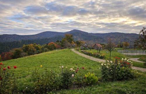 Ferienwohnung Panoramablick Bermersbach - Foto 34