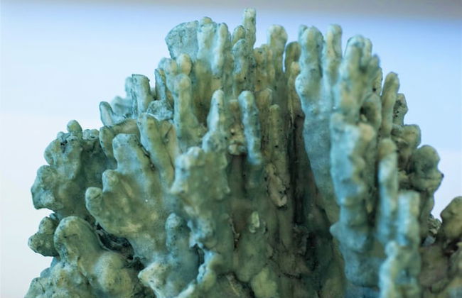 Cayman Luxury Rentals at The Grove - Photo 13