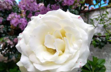 O Pouso Condomínio - Foto 24