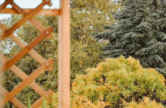 ΕΥΕΛΗ - Photo 22