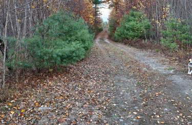 Unplug nd Reconnect in Peceful Off-Grid Cbin for Relxtion nd Nture Immersion in Beddington, Mine - Foto 17