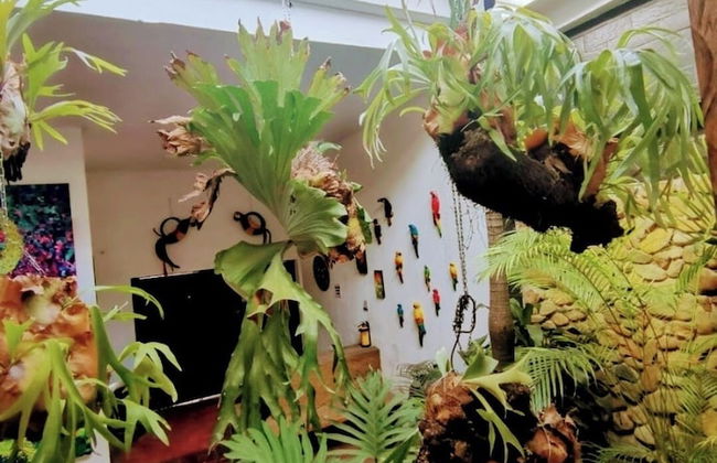 parrot house san antonio - Photo 1