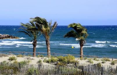 Maison de vacances Les 2 dauphins - Photo 43