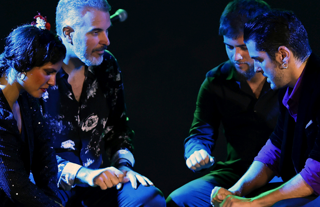 Tablao Flamenco Alma - Show - Foto 3