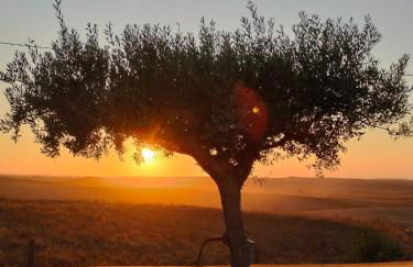 Canto da Planície - Foto 62