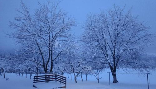 Apartman PLUM PLITVICE - Foto 4