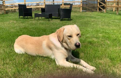 Unique Barn conversion in Saddleworth - Foto 43