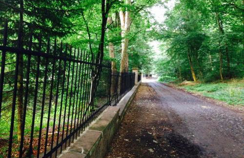 Historische Mühle am Schloss - Foto 4