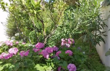 Casa vacanze Villa Rosa - Foto 66