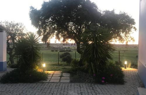 Quinta da Colina - Foto 40